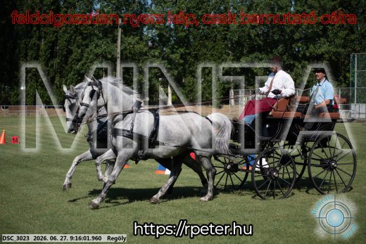 Mintakép 20260627-632