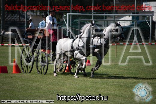 Mintakép 20260627-643