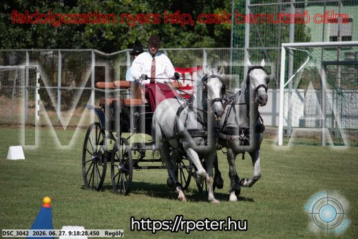 Mintakép 20260627-646