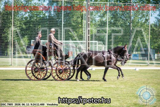 Mintakép 20260612-258