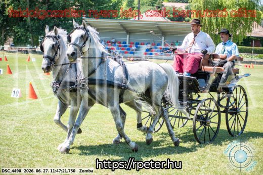 Mintakép 20260627-662
