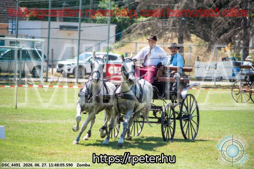 Mintakép 20260627-663
