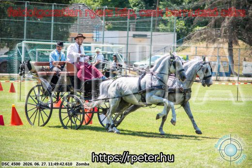 Mintakép 20260627-668