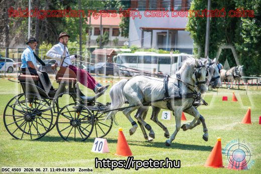 Mintakép 20260627-670