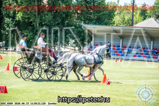 Mintakép 20260627-676