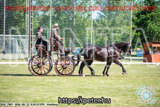 Mintakép 20260612-260