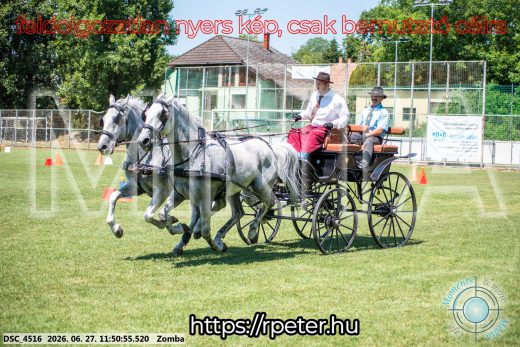 Mintakép 20260627-681