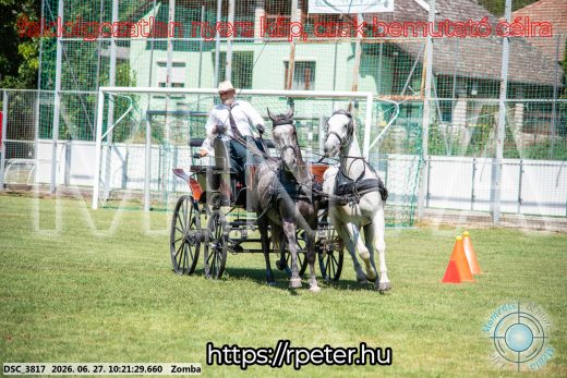 Mintakép 20260627-691