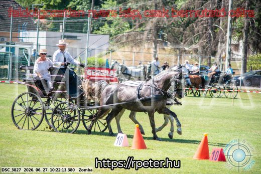 Mintakép 20260627-695