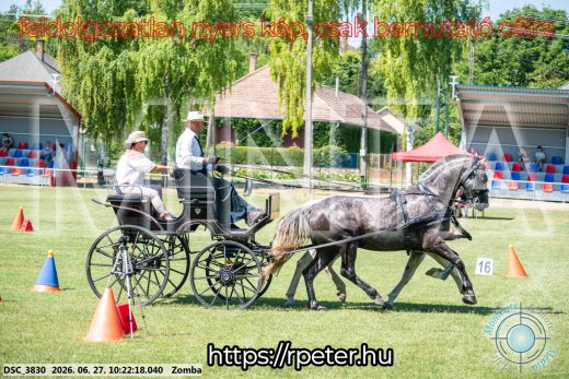 Mintakép 20260627-697