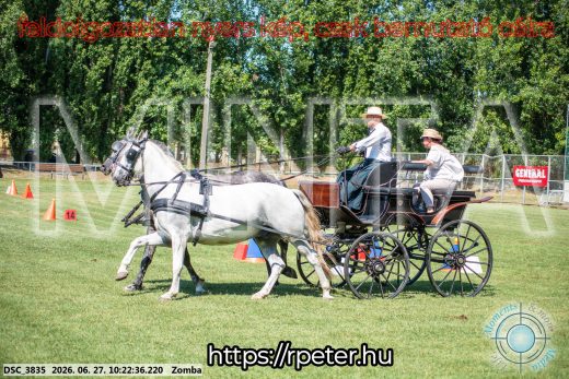 Mintakép 20260627-699