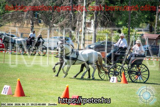 Mintakép 20260627-700