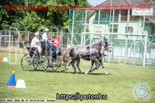 Mintakép 20260627-703