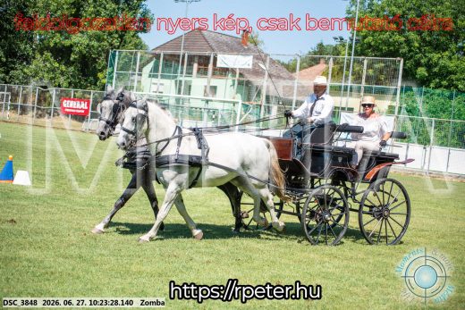 Mintakép 20260627-704