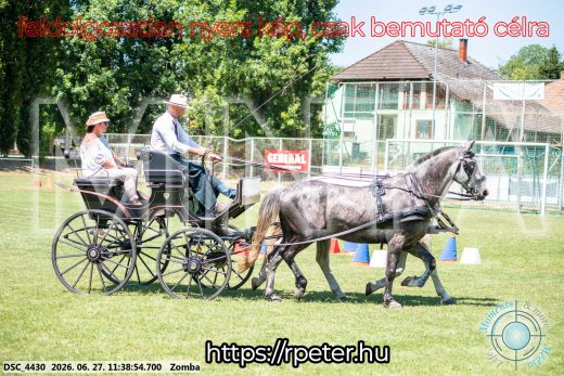 Mintakép 20260627-709