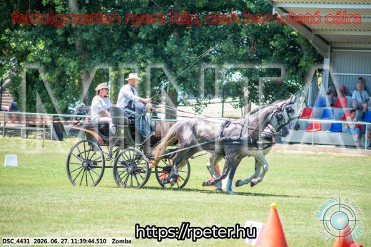 Mintakép 20260627-710