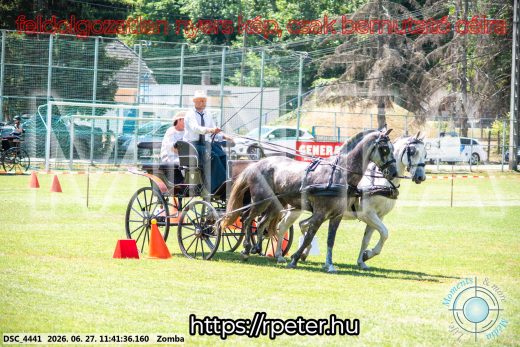 Mintakép 20260627-716