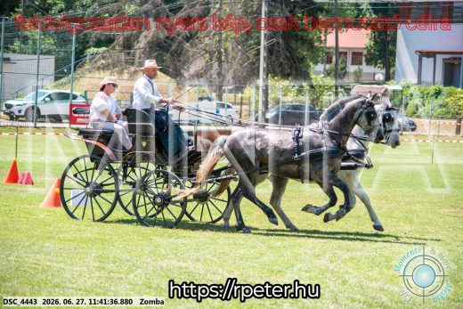 Mintakép 20260627-718