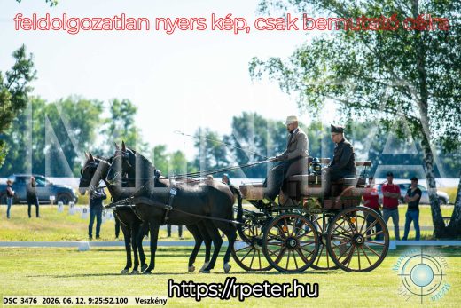 Mintakép 20260612-264