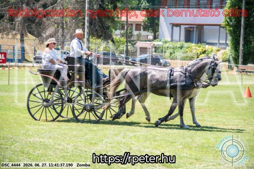 Mintakép 20260627-719