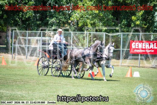 Mintakép 20260627-721