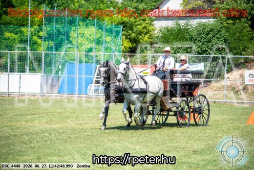 Mintakép 20260627-722
