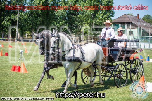 Mintakép 20260627-723