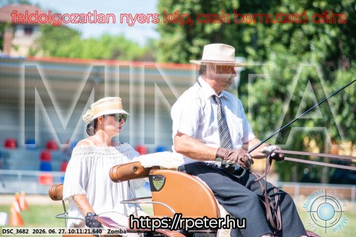 Mintakép 20260627-727