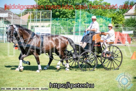 Mintakép 20260627-729