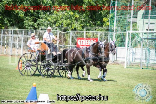 Mintakép 20260627-732