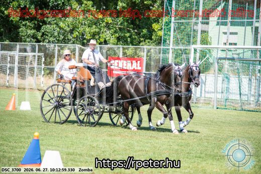 Mintakép 20260627-733