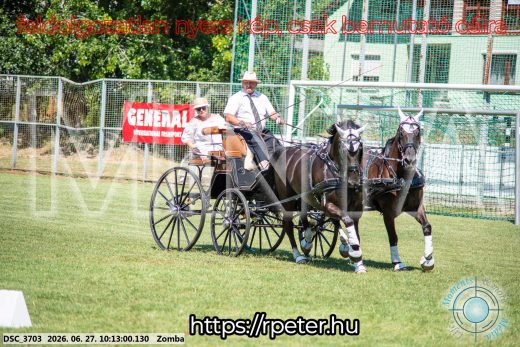 Mintakép 20260627-736