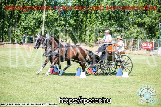 Mintakép 20260627-738