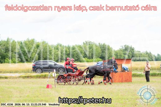 Mintakép 20260613-381