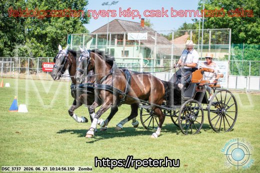 Mintakép 20260627-753
