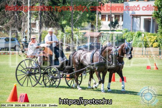 Mintakép 20260627-754
