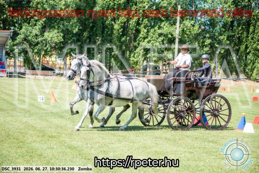 Mintakép 20260627-768